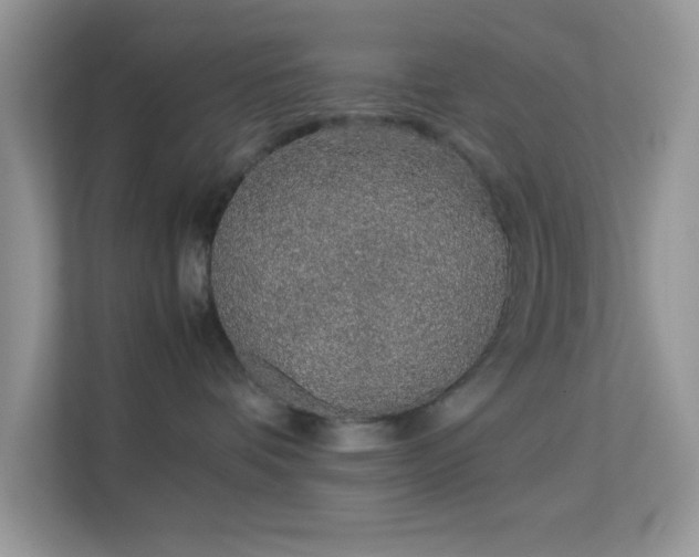 X0000113560336200909251103