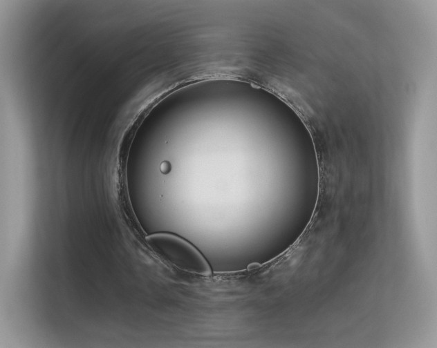 X0000113560338200909251103