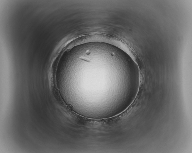 X0000113560339200909251103