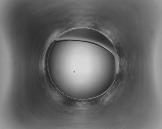 X0000113560340200909251103