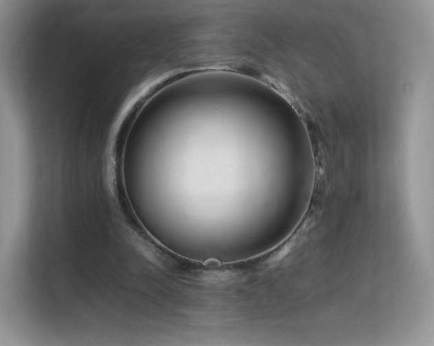 X0000113560342200909251103