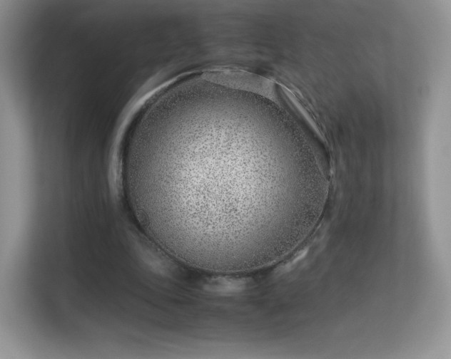 X0000113560343200909251103