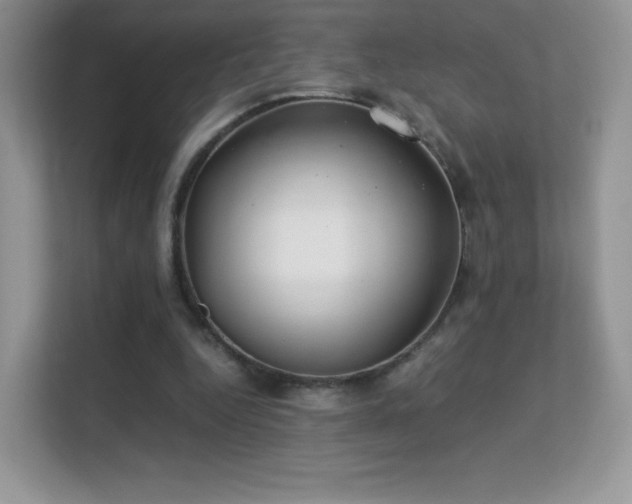 X0000113560344200909251103