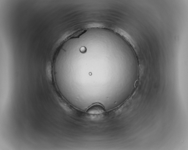 X0000113560345200909251103