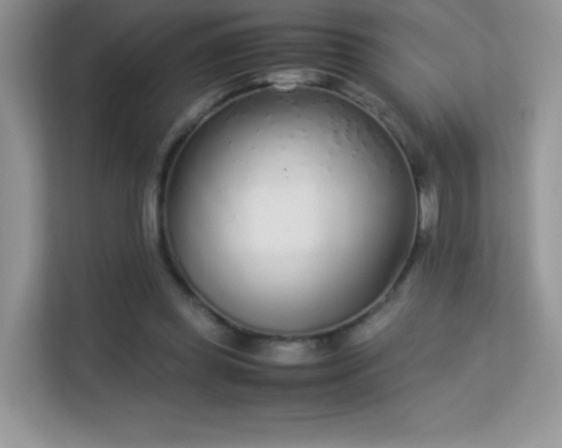 X0000113560349200909251103