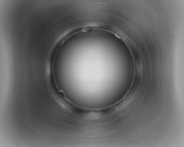 X0000113560350200909251103