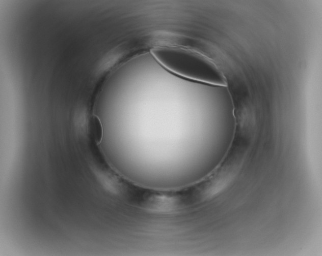 X0000113560352200909251103