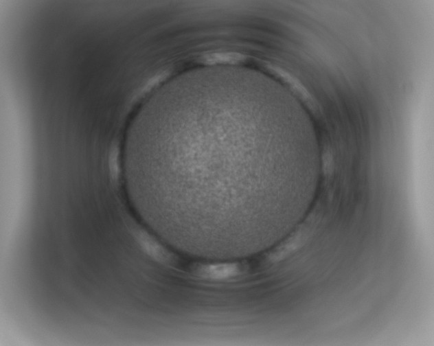 X0000113560353200909251103