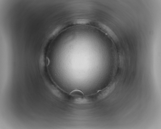 X0000113560354200909251103