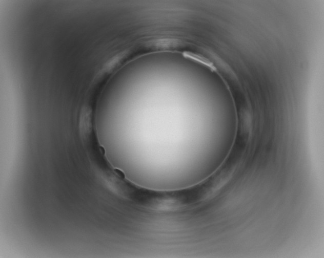 X0000113560356200909251103