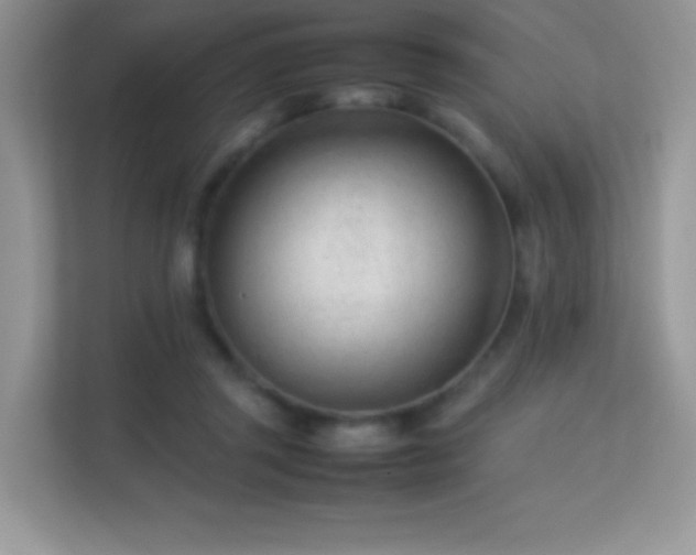 X0000113560357200909251103