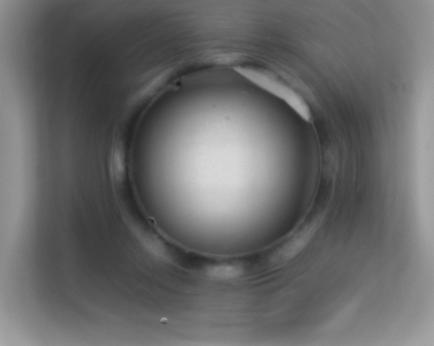 X0000113560358200909251103