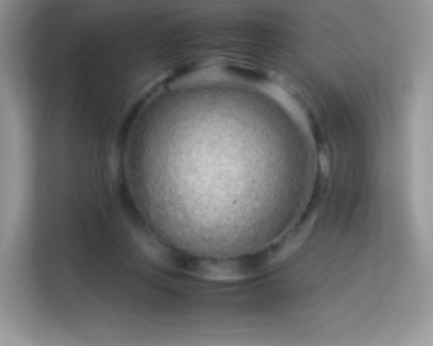 X0000113560359200909251103