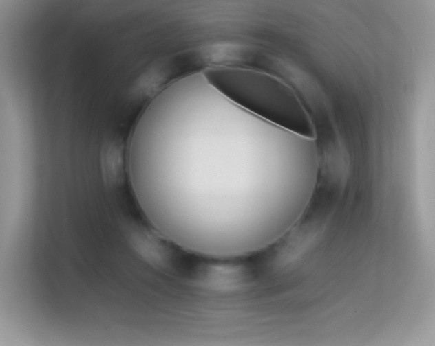 X0000113560360200909251103