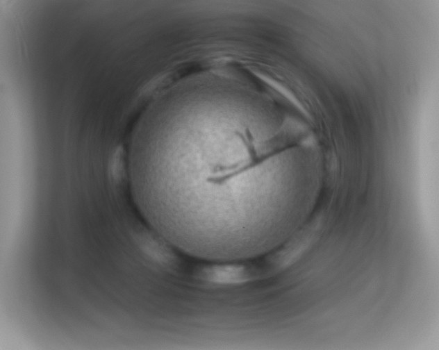 X0000113560361200909251103