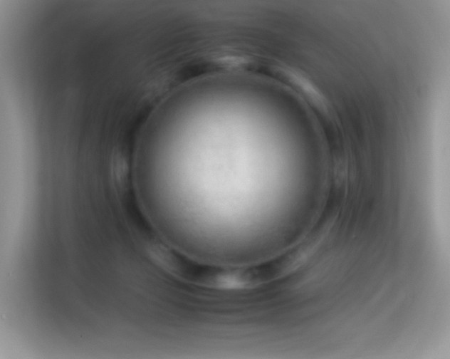 X0000113560365200909251103
