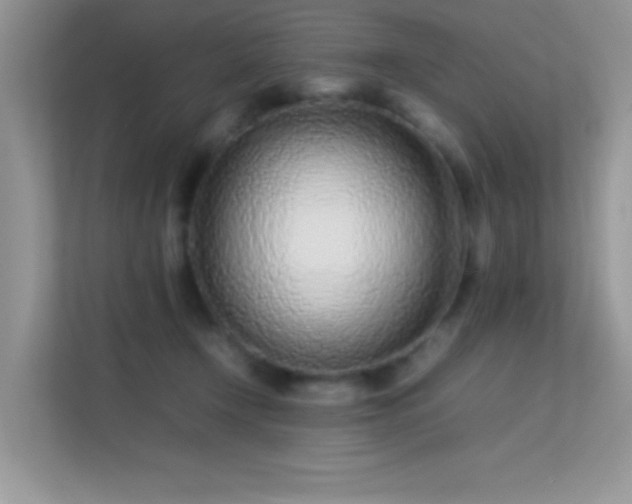 X0000113560366200909251103