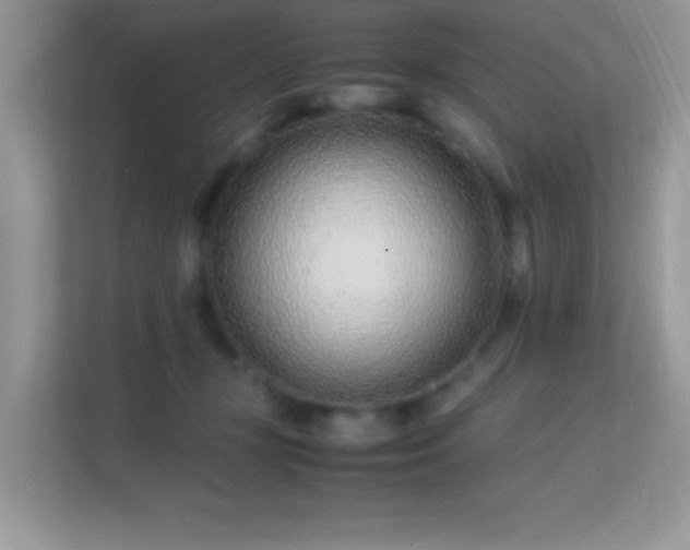 X0000113560367200909251103