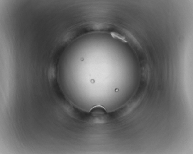 X0000113560368200909251103