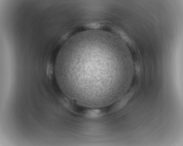 X0000113560374200909251103
