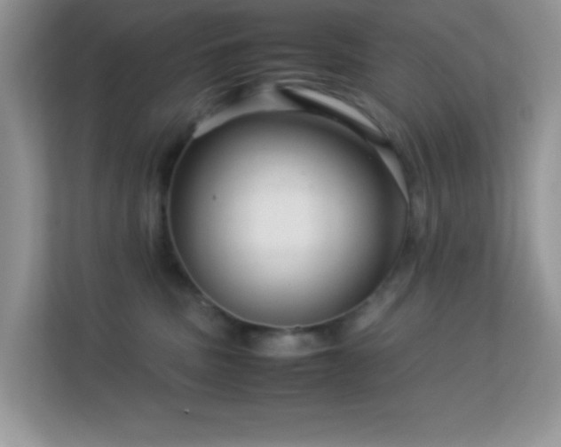 X0000113560379200909251103