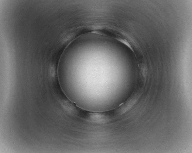 X0000113560380200909251103