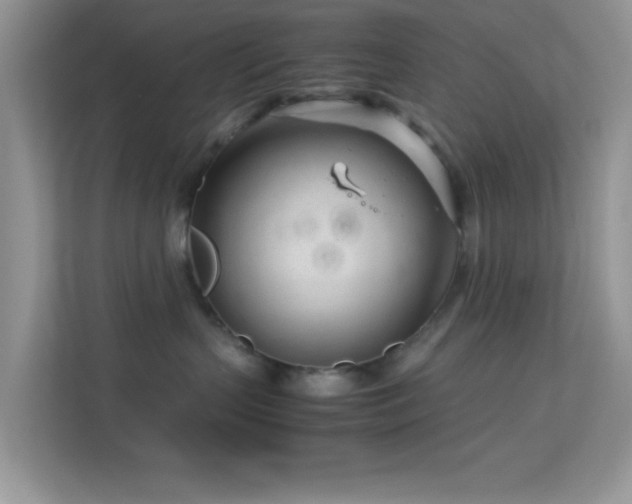 X0000113560383200909251103