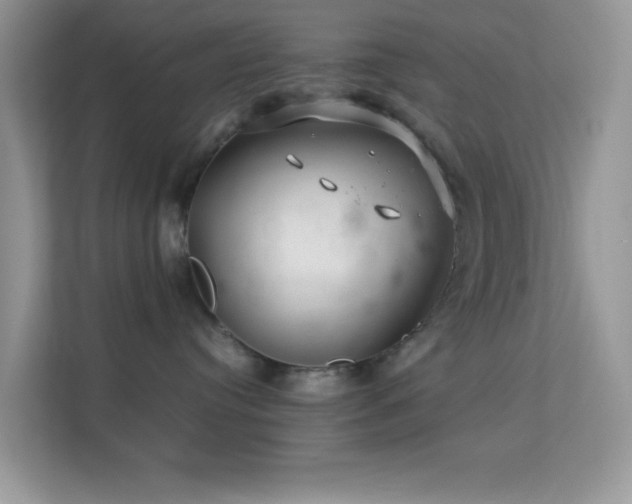 X0000113560384200909251103