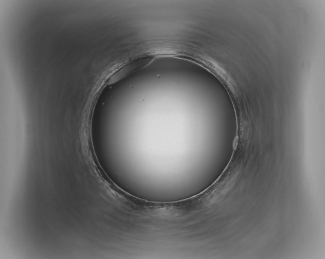 X0000113560385200909251103
