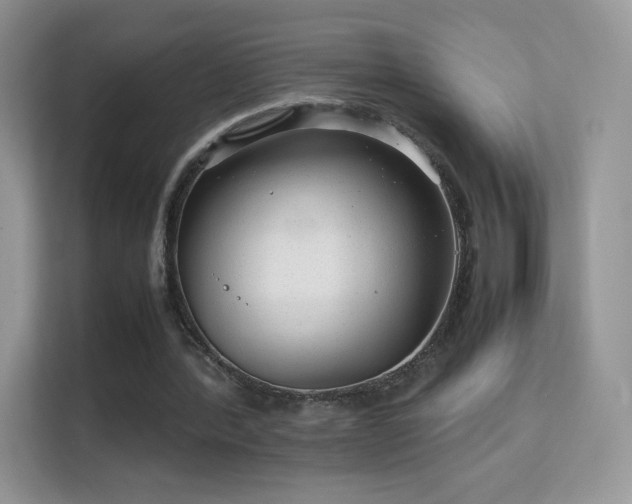 X0000113560388200909251103
