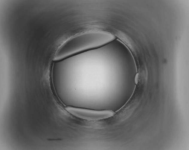 X0000113560389200909251103