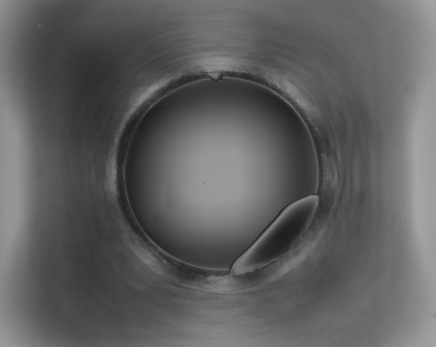 X0000113560391200909251103