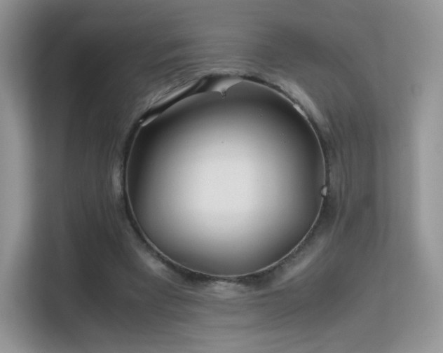 X0000113560393200909251103