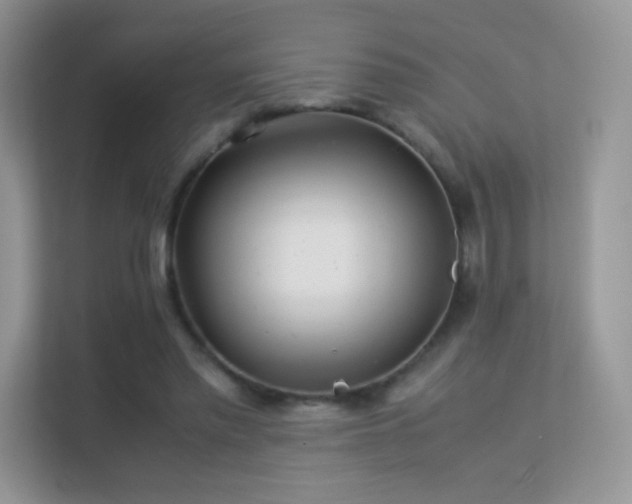 X0000113560397200909251103