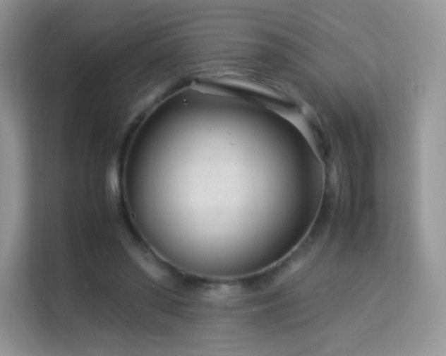 X0000113560398200909251103