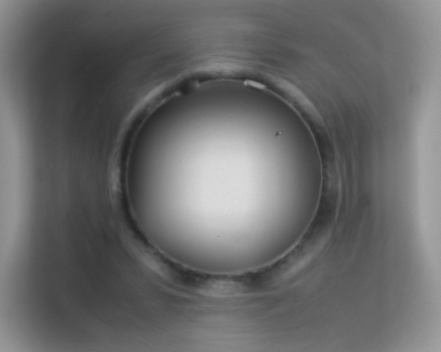 X0000113560399200909251103