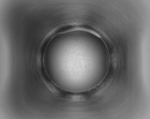 X0000113560400200909251103