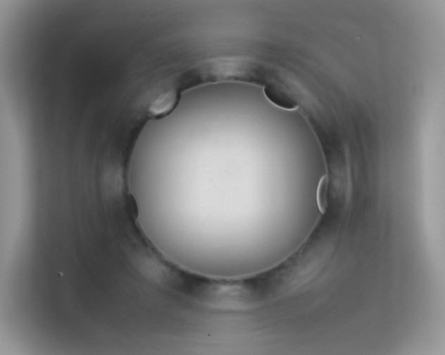 X0000113560401200909251103