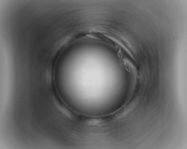 X0000113560402200909251103