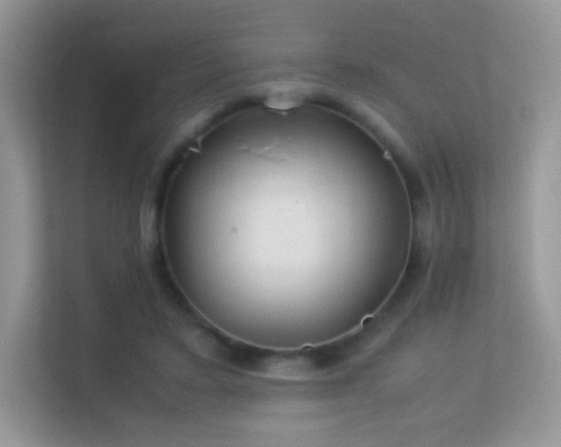 X0000113560403200909251103