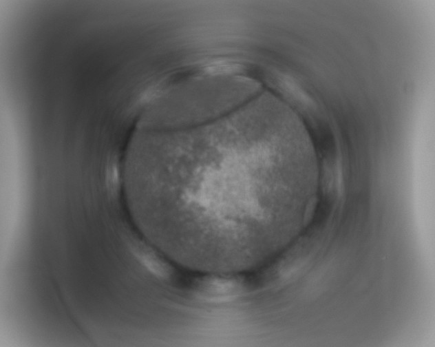 X0000113560405200909251102