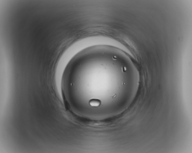 X0000113560407200909251102
