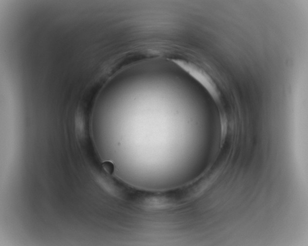 X0000113560408200909251102