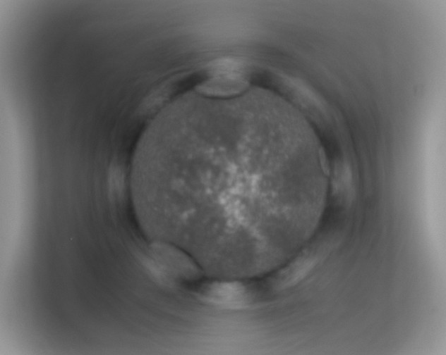 X0000113560409200909251102