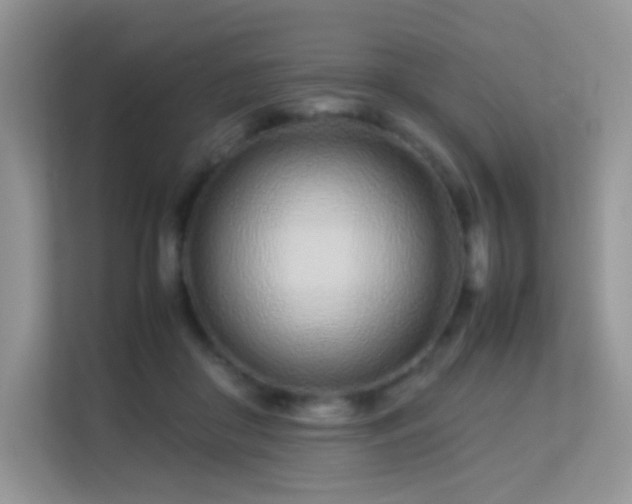 X0000113560410200909251102