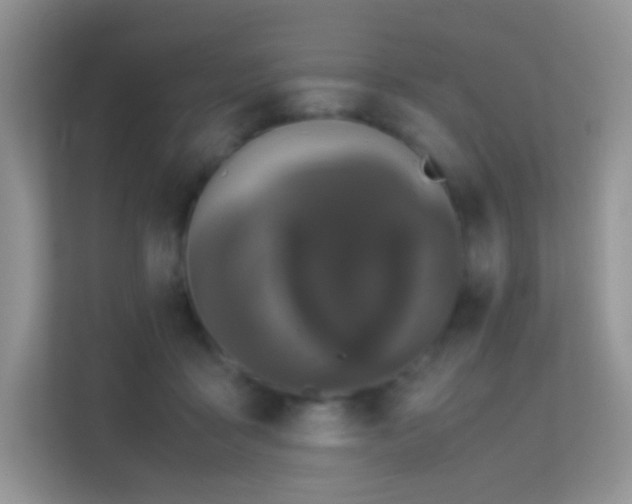 X0000113560411200909251102