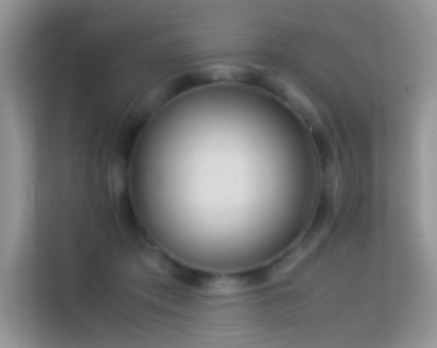 X0000113560413200909251102