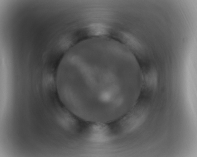 X0000113560415200909251102