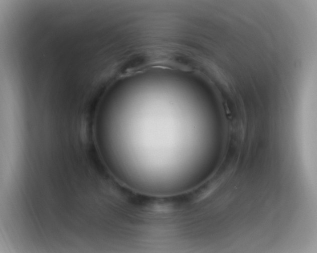 X0000113560416200909251102