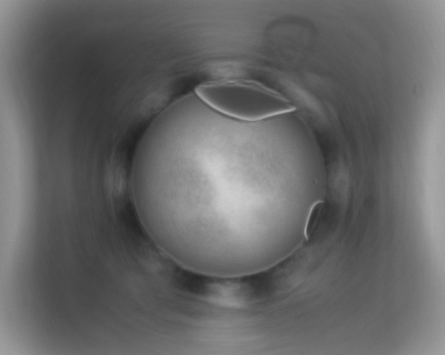 X0000113560417200909251102